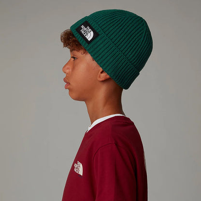 The North Face Kinder TNF Box Logo Cuffed Beanie Mütze - Immergrün