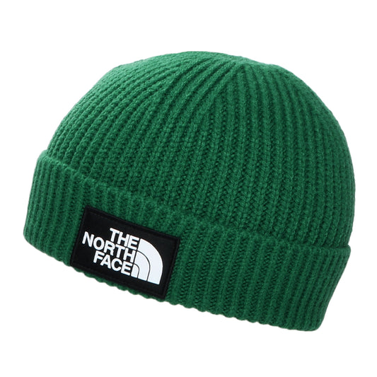 The North Face TNF Logo Box Cuffed Fisherman Beanie Mütze - Immergrün