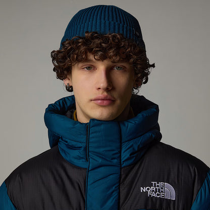 The North Face TNF Recycled Fisherman Beanie Mütze - Petrol