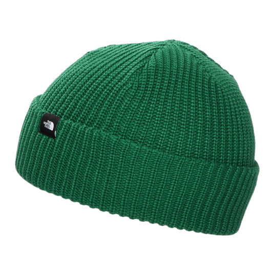 The North Face TNF Recycled Fisherman Beanie Mütze - Immergrün